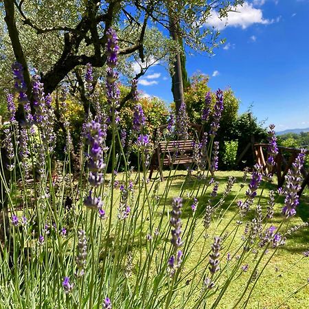 Grove Cottage: Immersed In Nature & Close To Town Citta della Pieve Exterior photo