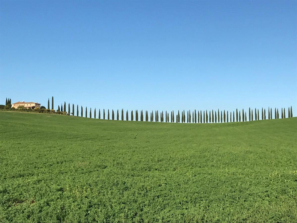 Grove Cottage: Immersed In Nature & Close To Town Citta della Pieve Exterior photo