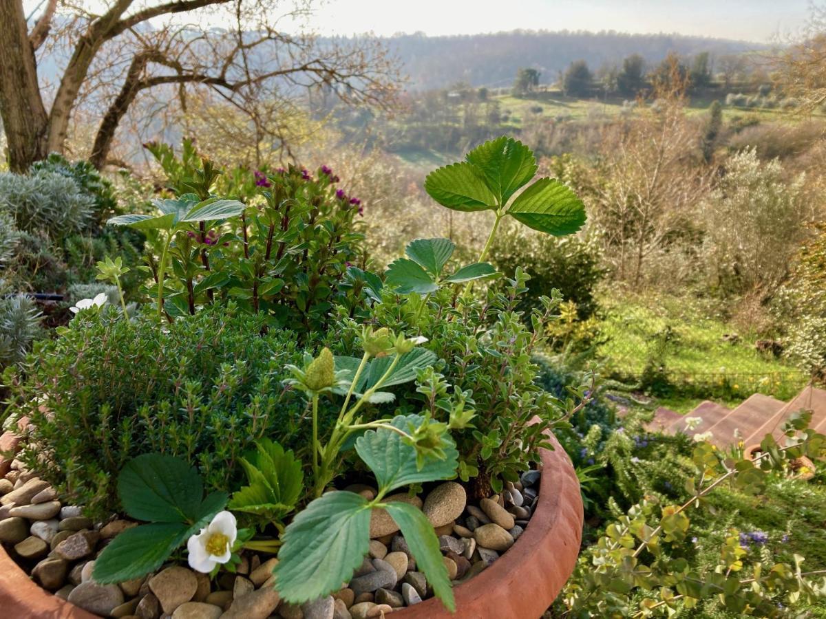 Grove Cottage: Immersed In Nature & Close To Town Citta della Pieve Exterior photo